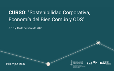 Curso Llamp AMES y Aceleración 3I: Sostenibilidad Corporativa
