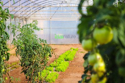 Portento, el biofungicida estrella de Idai Nature obtiene el certificado para su uso en agricultura Biodinámica