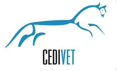 CEDIVET VALENCIA S.L