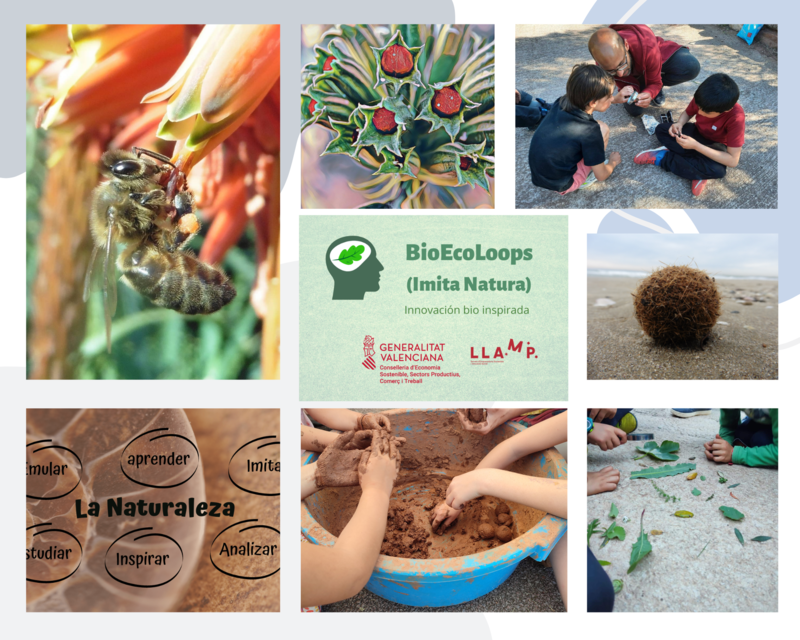 Actividades CEO de BioEcoLoops