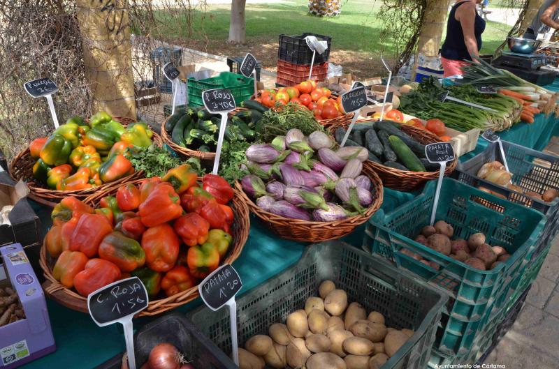 productos ecologicos