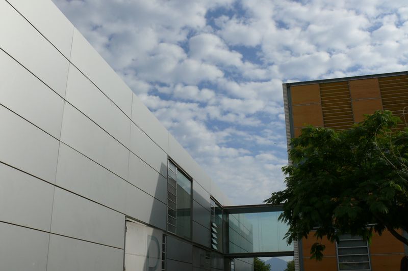 vivero 24 CEEI Castell�n