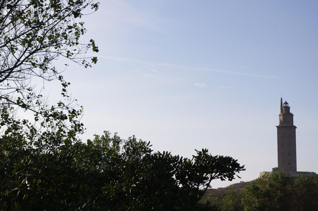 Probando barra de macrojornada.