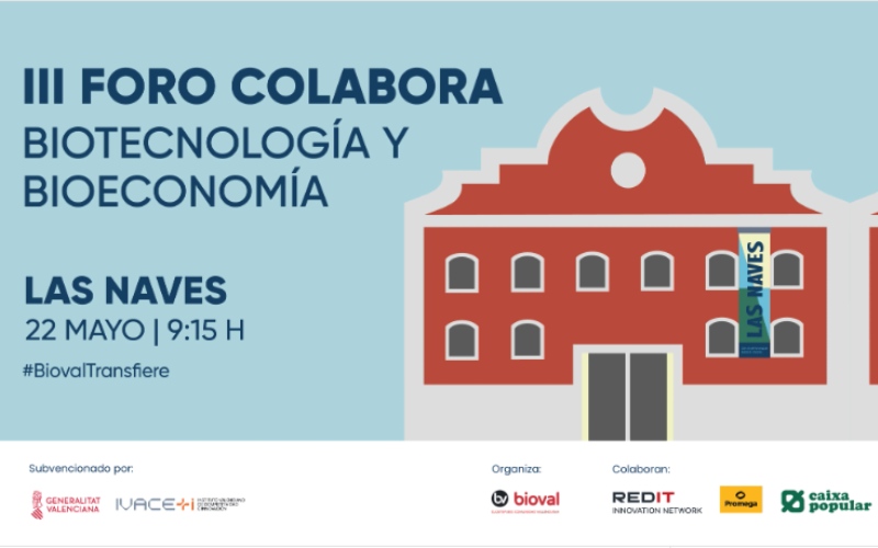 3º Foro Colabora
