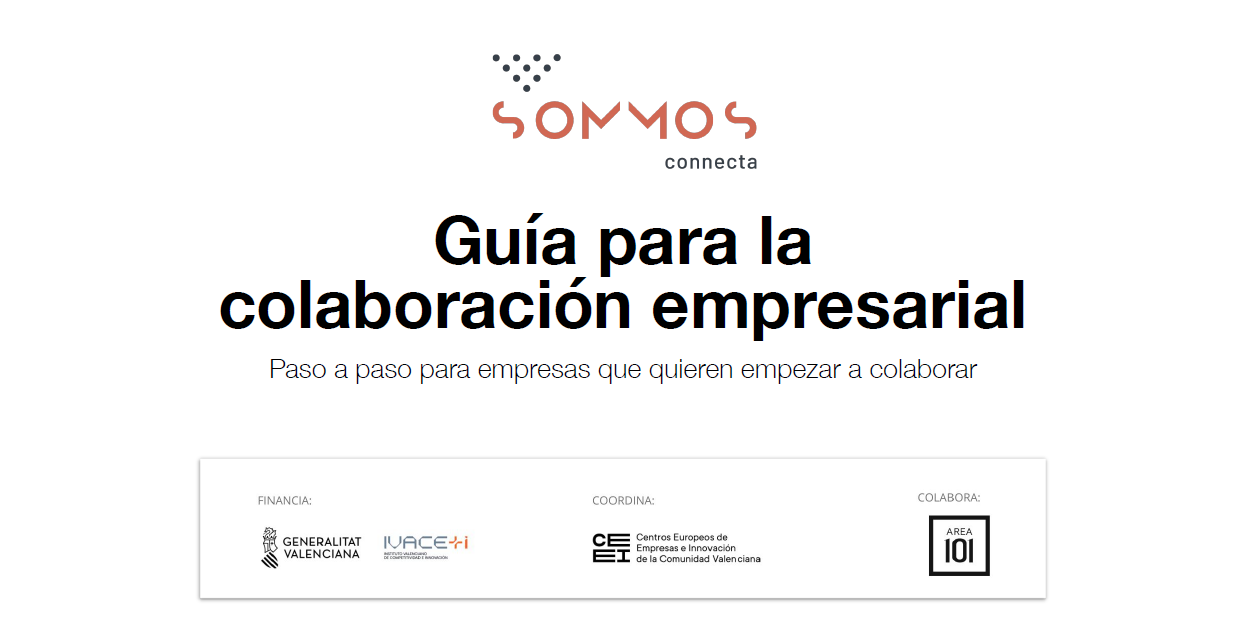 Gu�a para la colaboraci�n empresarial