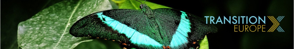 TransitionX Europe
