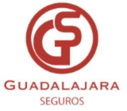 guadalajaraseguros