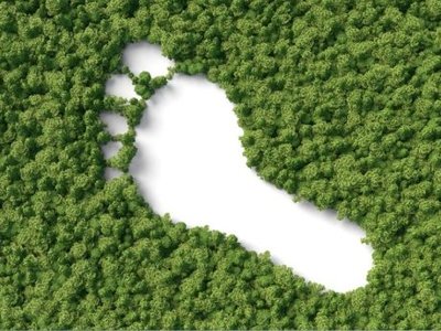 Taller pr�ctico: Huella de carbono