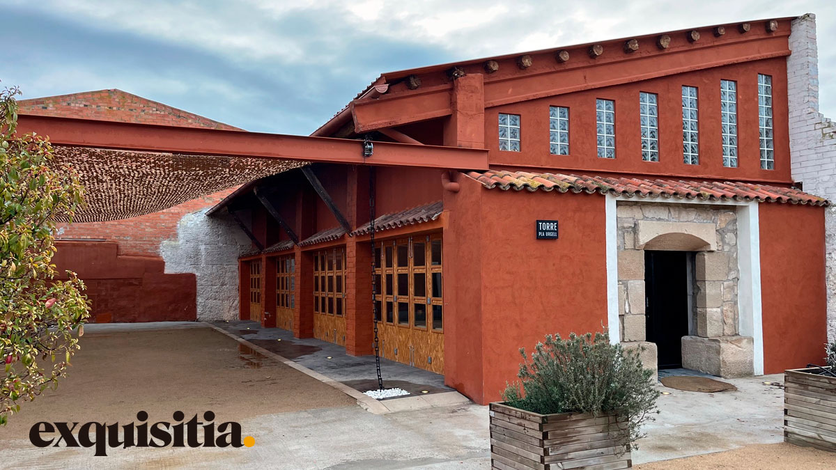 Vista del proyecto Torre Pla d'Urgell del Arquitecto Esteve Niubó