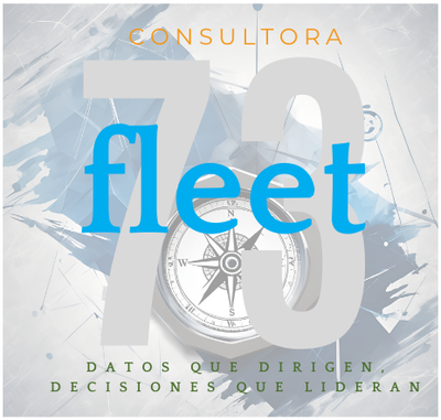 Fleet73 Consultora