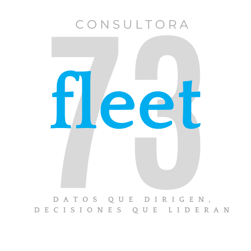 Fleet73 Consultora