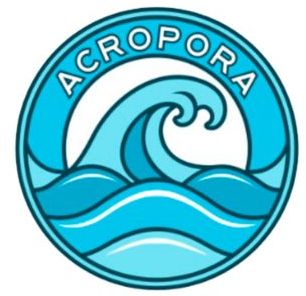 acropora