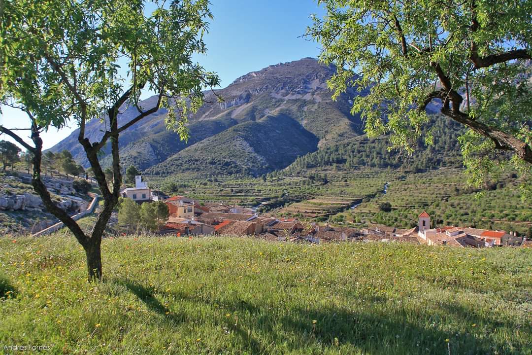 Ajuntament de Fageca