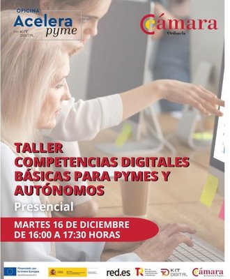 Alfabetización informática para pymes y autónomos