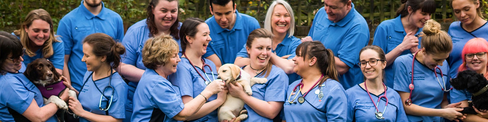 IVC EVIDENSIA ASSETS SL.