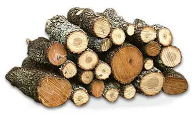 Le�a de encina, una de las mejores opciones para chimeneas y barbacoas