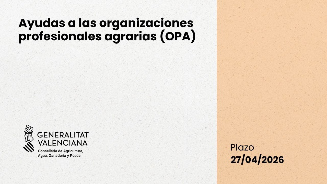 Ayudas a las organizaciones profesionales agrarias (OPA)