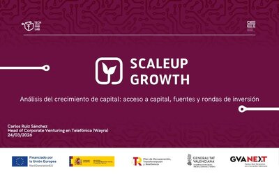 An�lisis del crecimiento de capital: acceso a capital, fuentes y rondas de inversi�n