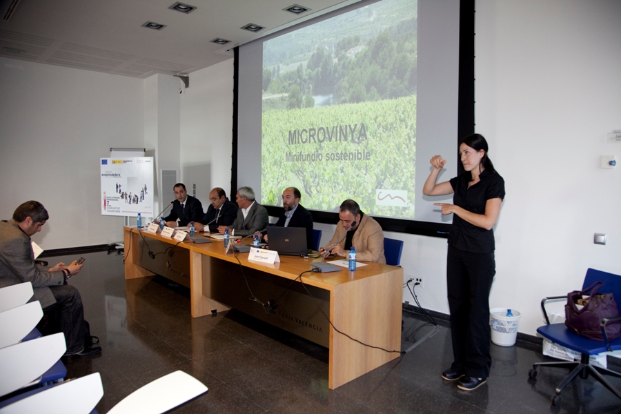 Sesión "cooperación territorial" DPECV 2009