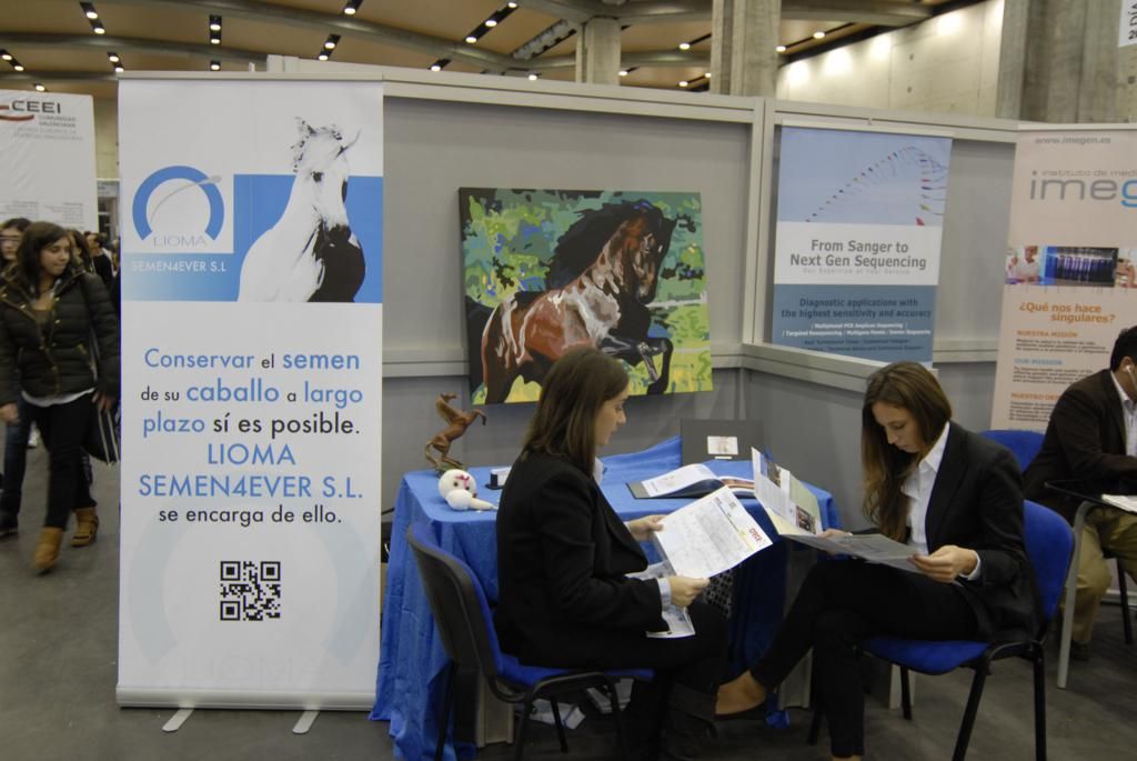 129 DPECV2012 Muestra de empresas reciente creaci�n