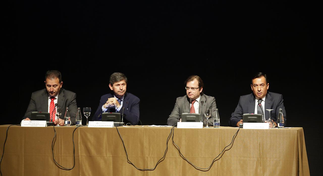 Plenario "Enr�date Castell�n 2013"