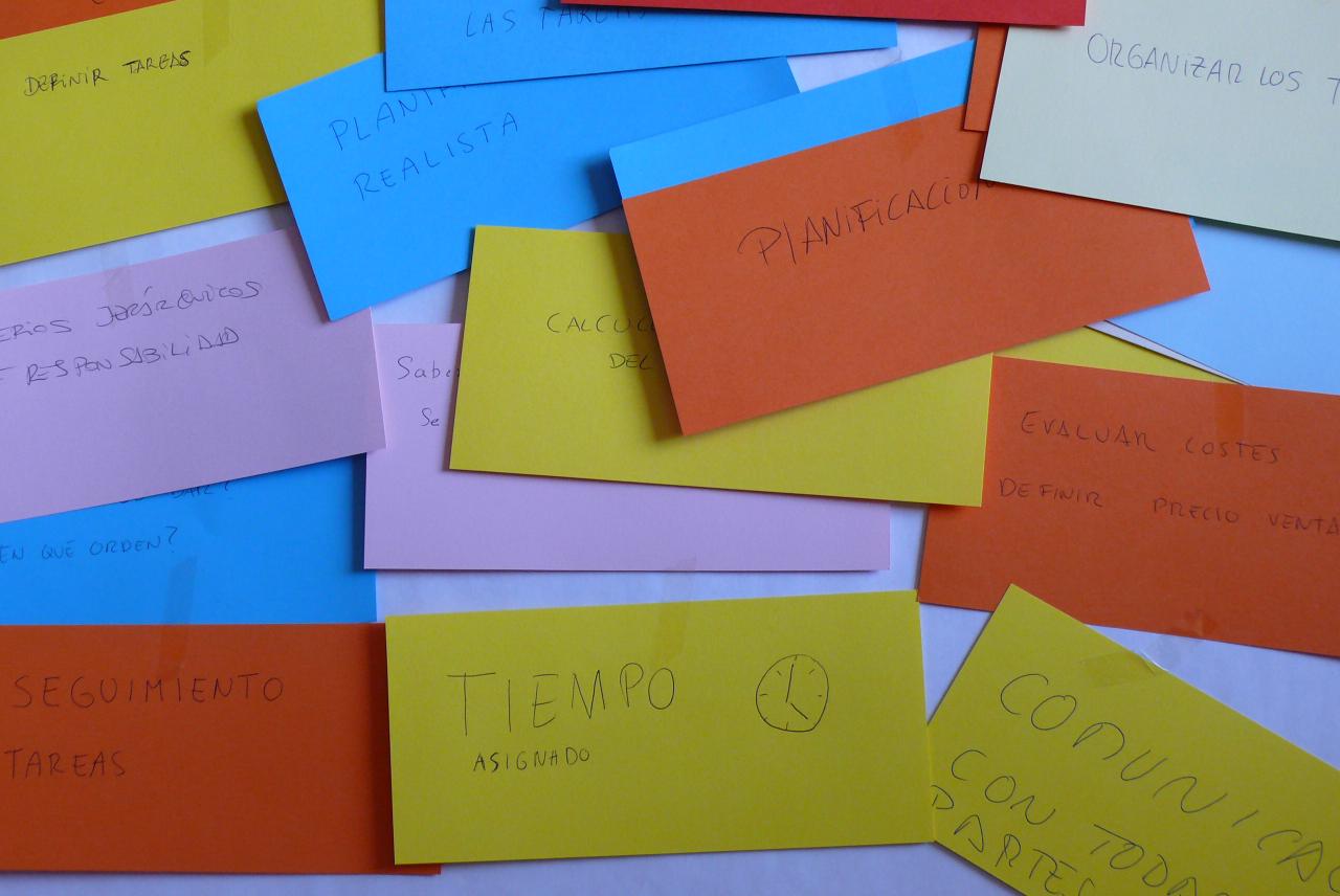 gesti�n proyectos 6