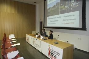 203 Centro de Eventos (Sala 3G 15:15h.) #DPECV2013 