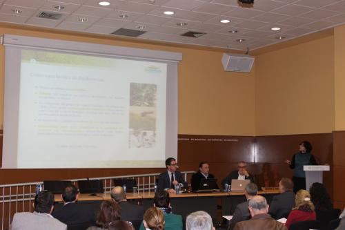 Entrega de Premios CEEI-IVACE 2014 (7)