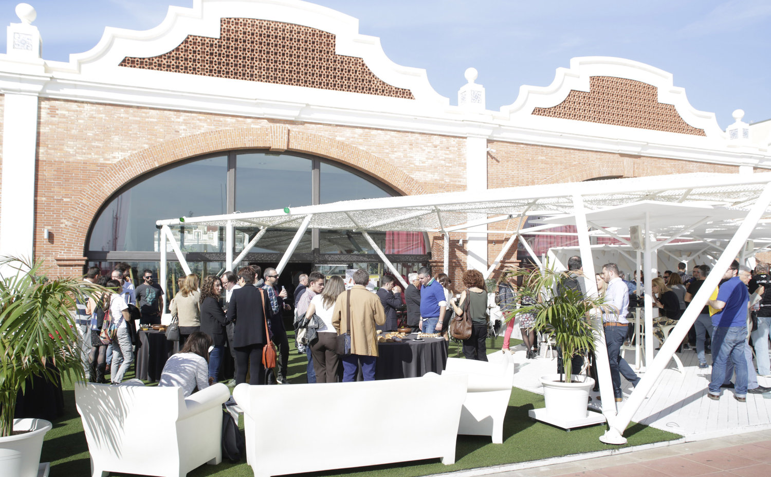 Focus Innova Pyme Opal