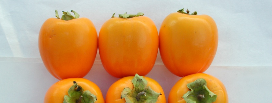 Instituto Valenciano de Investigaciones Agrarias (IVIA)