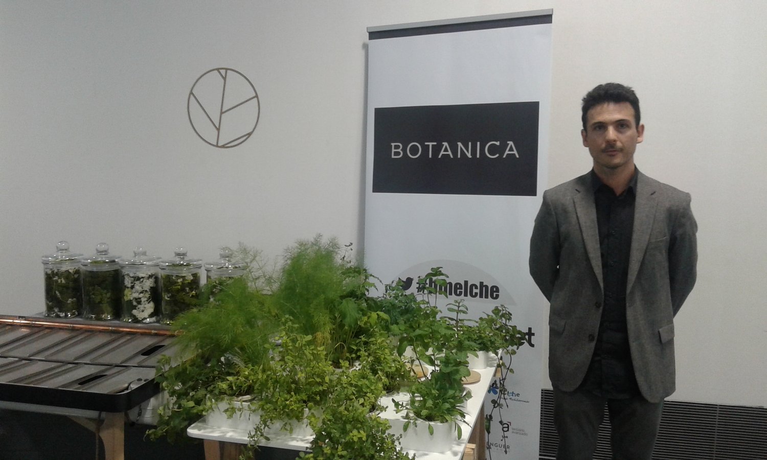 BOTANICA Furniture Experiencies[;;;][;;;]