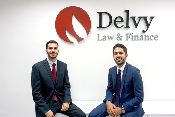 Delvy Asesores, S.L.