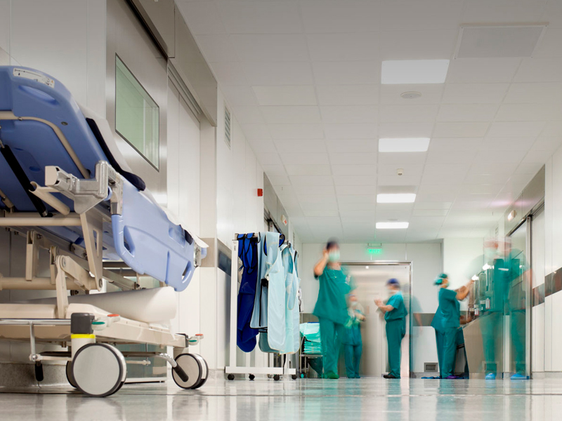 Control de plagas en hospitales. C�mo se hace
