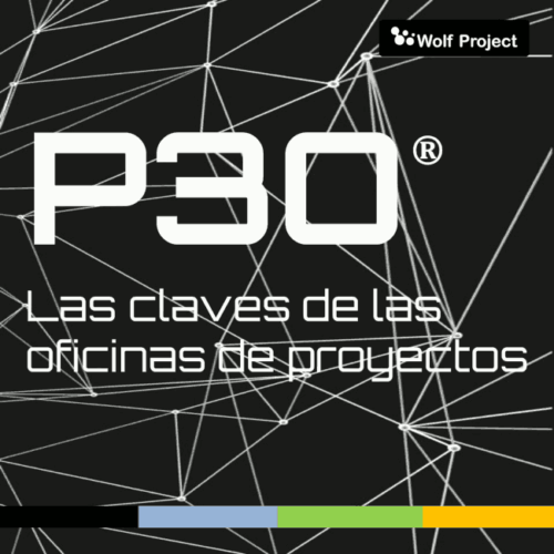 Las claves de las oficinas de proyectos (PMO)