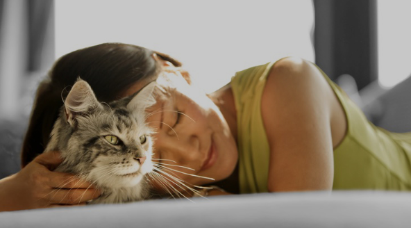 Presentaci�n Programa Corporate Purina y Lanzadera