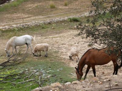 Arcadia lanza una campa�a de micromecenazgo a trav�s de la plataforma lateuaterra.com