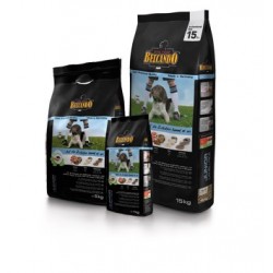 Belcando. Perros Junior