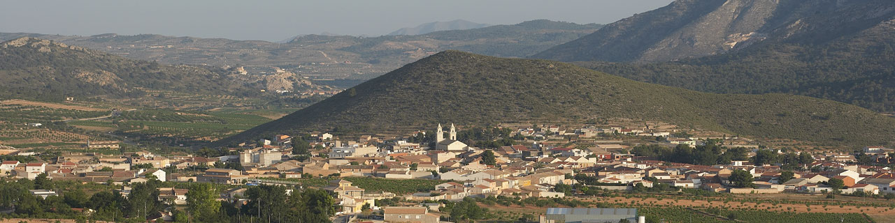 Agencia de Desarrollo Local del Ayuntamiento de Algueña