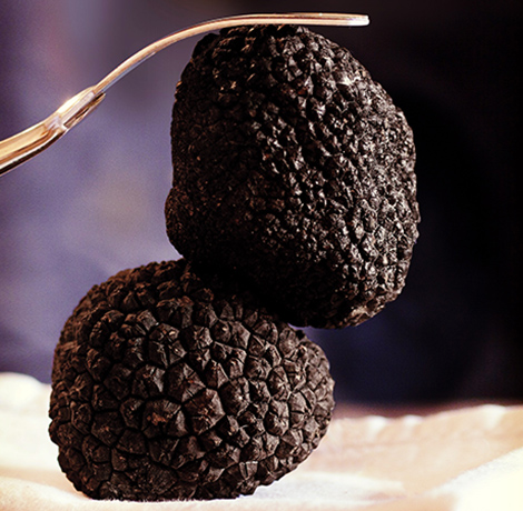 trufa negra de teruel