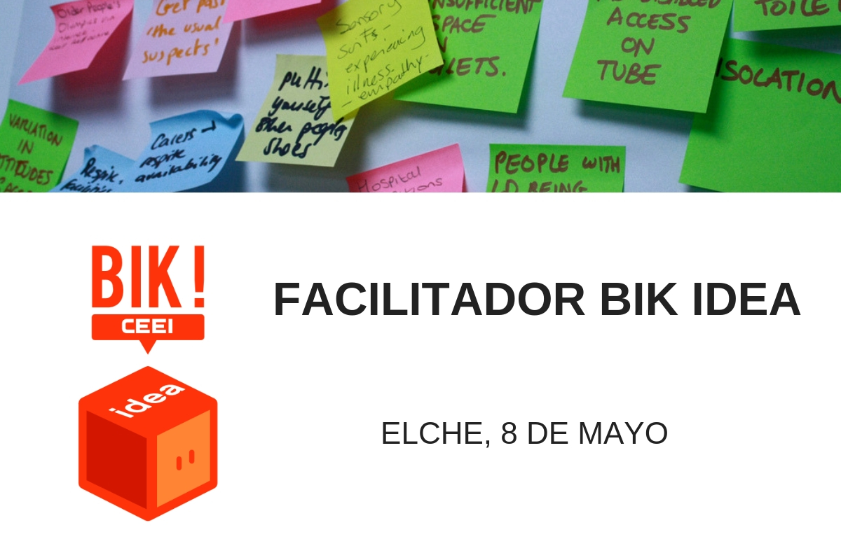 Sesión Facilitadores BIK IDEA en Elche