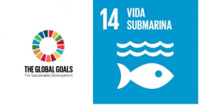 Experiencia para desarrollar tu liderazgo y aportar al cuidado del medioambiente en Turqu�a