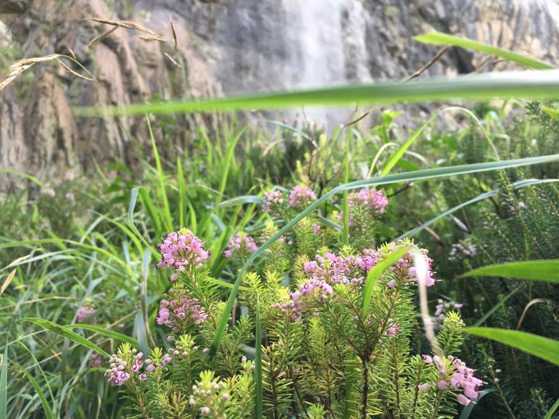 Sin T�tulo Ed-Gb 21[;;;][;;;]