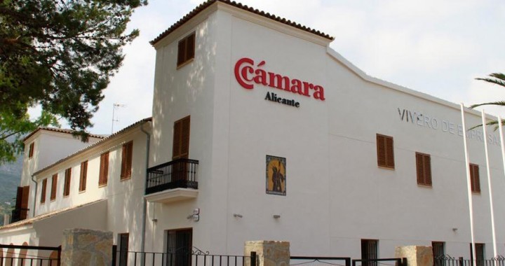 Vivero Delegación Denia. Cámara de Comercio Alicante