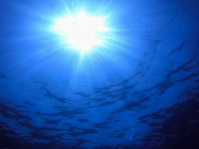 Servicios OCEANSNELL