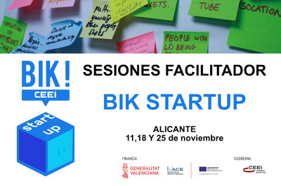 Sesi�n Facilitadores BIK STARTUP en Alicante