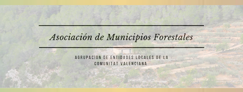 Asociación de Municipios Forestales AMUFOR