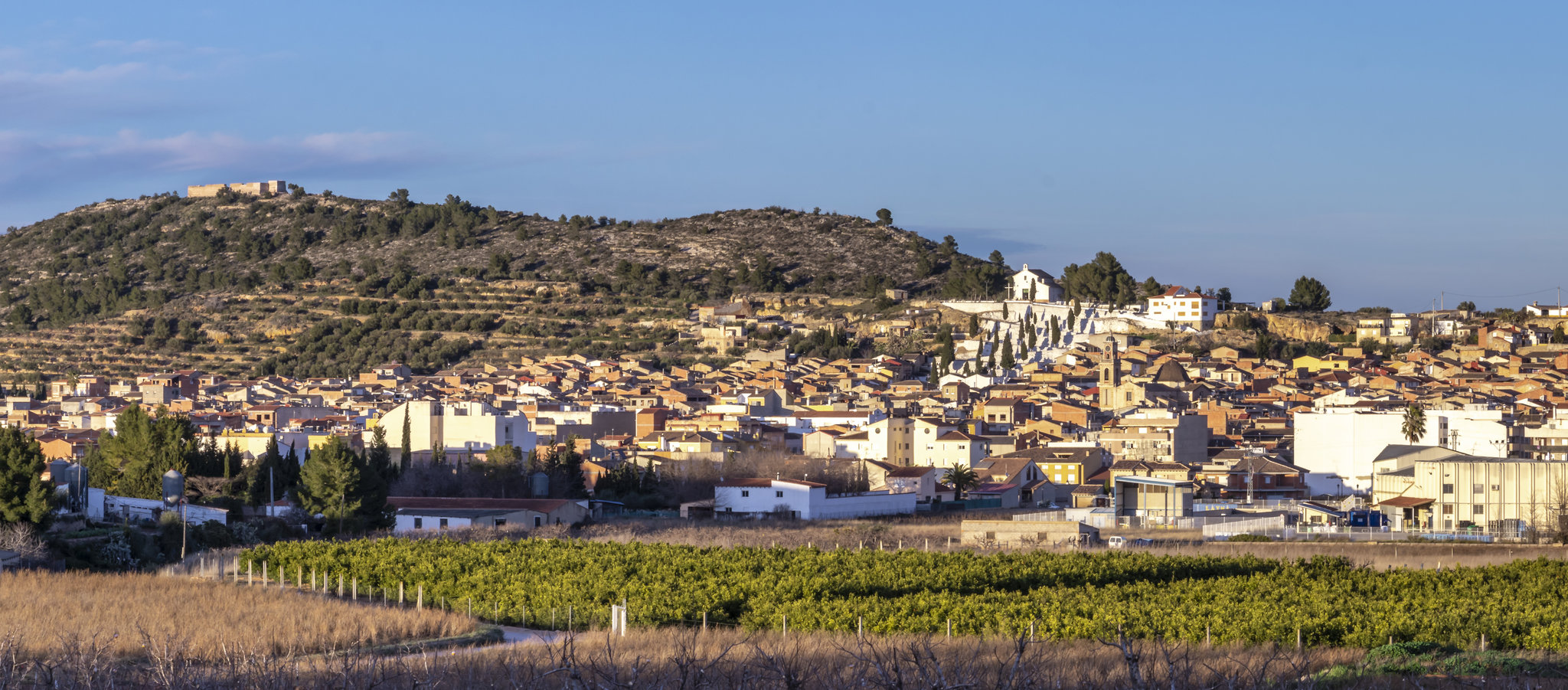 AEDL Ajuntament de Navarrés