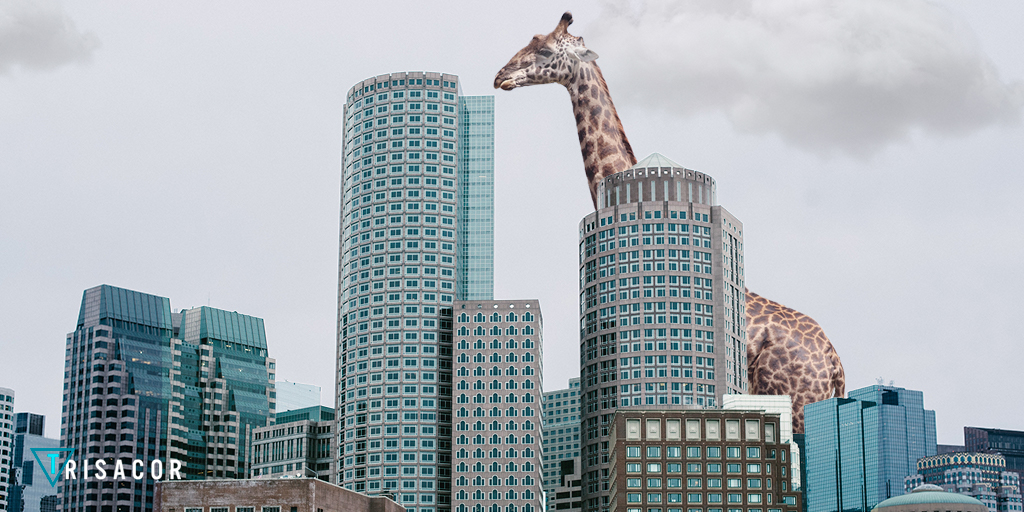 4 edificios de construcción moderna en el mundo