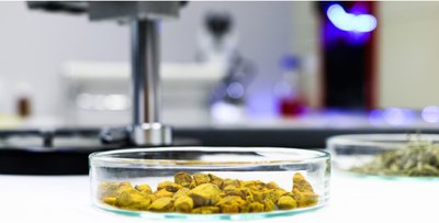 Idai Nature al frente de la innovación europea en Biocontrol