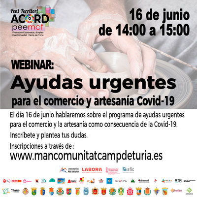 Webinar: Ayudas urgentes para el comercio y artesanía
